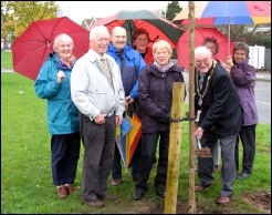 Planting a Golden Acacia tree on Wyndham Way